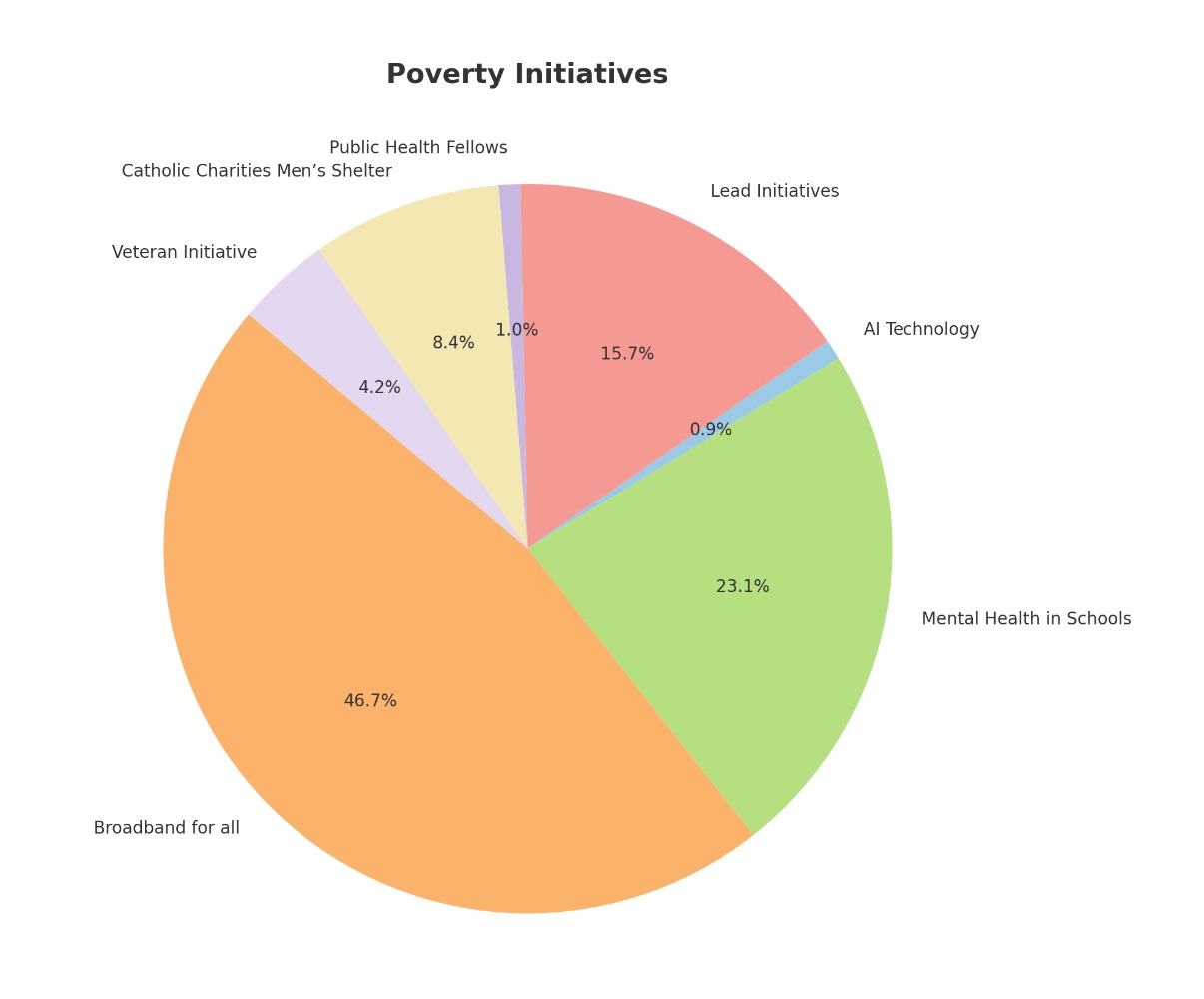 Pie chart of the Poverty Initiatives